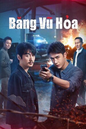 Băng Vũ Hoả